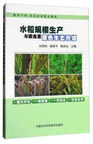 水稻种植技术书籍 水稻规模生产与病虫害原色生态图谱 粮食产业农民培训精品教材