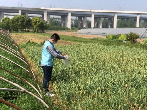 浦口区打造2.0版食品安全智慧检测体系 科技加码,让监管 跑 在风险前面