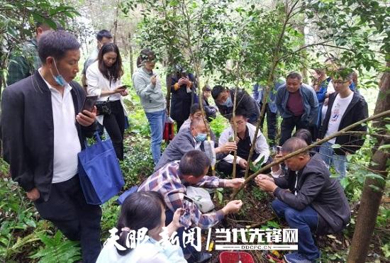 全省苗木花卉繁育与栽培管理技术培训班在贵阳举办