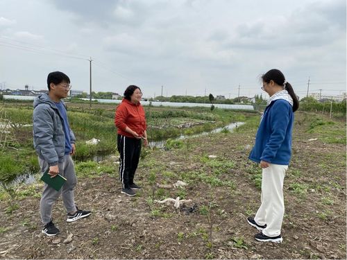 林果所青年党员依托 一村万树 行动开展果树种植养护技术指导