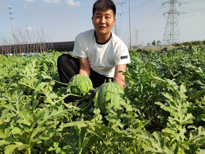 从种“网红果蔬”、网络直播,到带动乡亲开办家庭农场--徐州95后退伍军人的致富“三级跳”