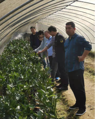 茶陵县扎实开展植物检疫活动