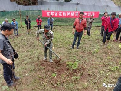 富邦乡召开花椒种植现场培训会