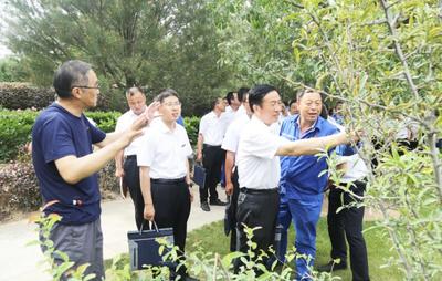 集团组织 “绿化栽植养护及苗木病虫害防治”专题培训