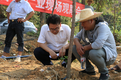 观摩交流互借鉴,产业振兴助发展--斗里镇召开百香果产业发展现场观摩会