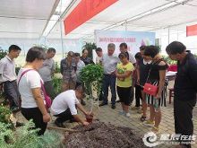 新港街道首个残疾人花卉苗木种植培训班开课-新闻频道-手机