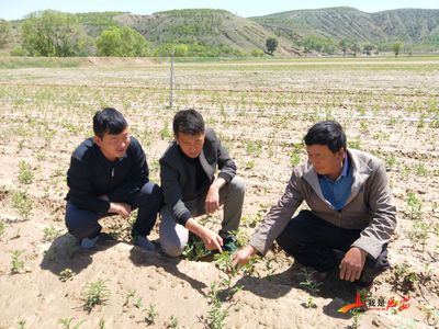 推动地企联谊 让产业培育人才