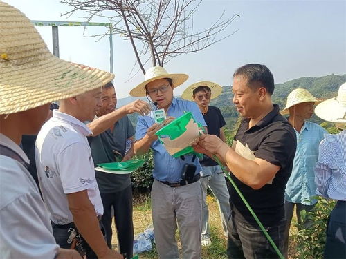 政和县开展茶园绿色生态种植技术现场培训会