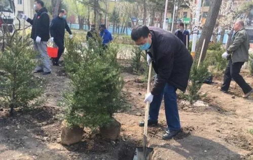 吉林交通职业技术学院组织开展春季植树活动