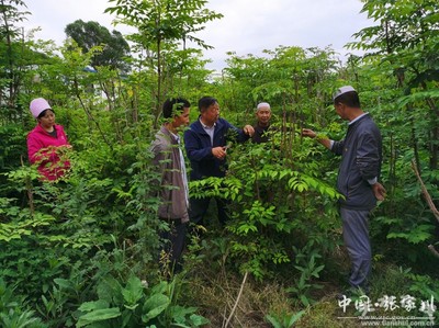 窑儿村:党建成为引领“乌龙头”产业发展的“定海神针”(图)