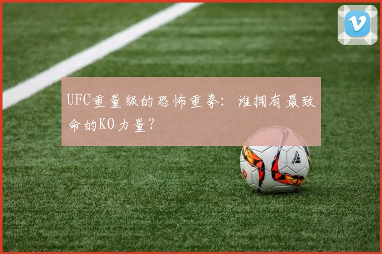 UFC重量级的恐怖重拳：谁拥有最致命的KO力量？