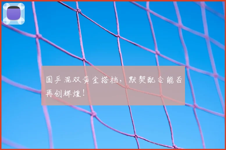 国乒混双黄金搭档，默契配合能否再创辉煌！