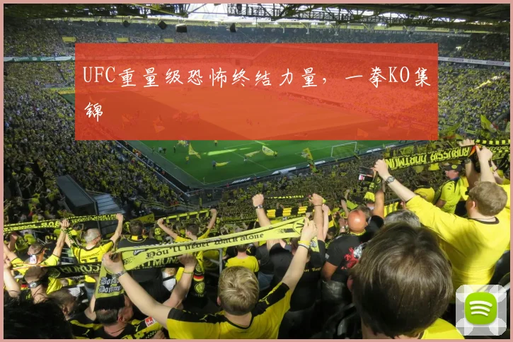 UFC重量级恐怖终结力量，一拳KO集锦