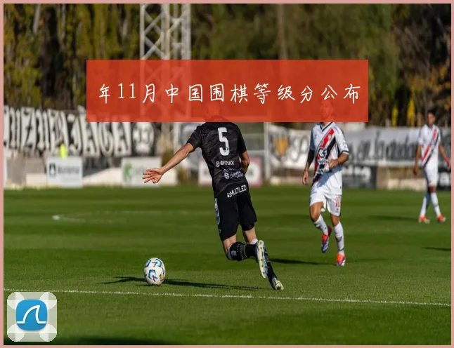 年11月中国围棋等级分公布