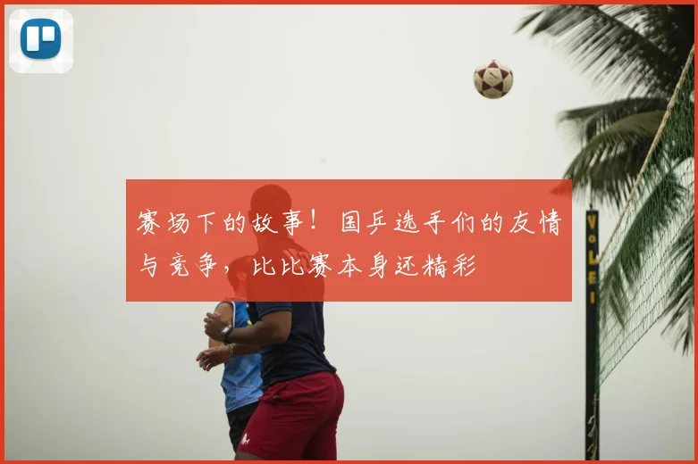 赛场下的故事！国乒选手们的友情与竞争，比比赛本身还精彩