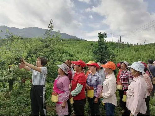 崇义稳下 村美民富产业强